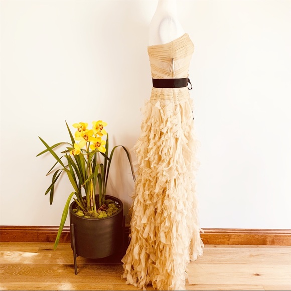 COPY - NEW Tadashi Shoji strapless ruffle chiffon gown - Picture 3 of 8